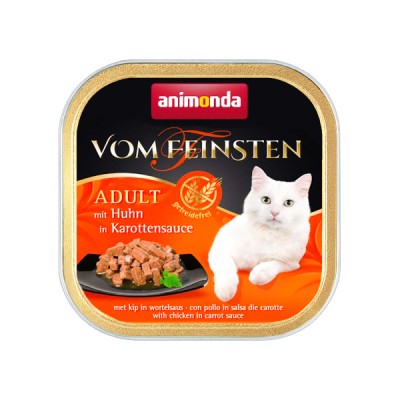 ǰ